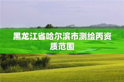 黑龙江省哈尔滨市测绘丙资质范围