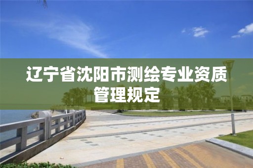 辽宁省沈阳市测绘专业资质管理规定