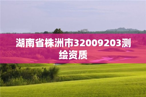 湖南省株洲市32009203测绘资质