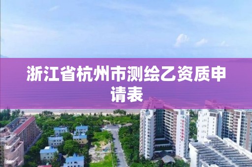 浙江省杭州市测绘乙资质申请表