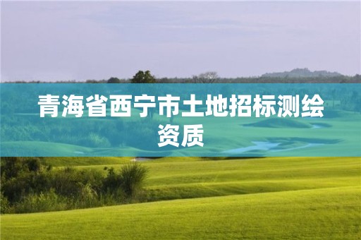 青海省西宁市土地招标测绘资质