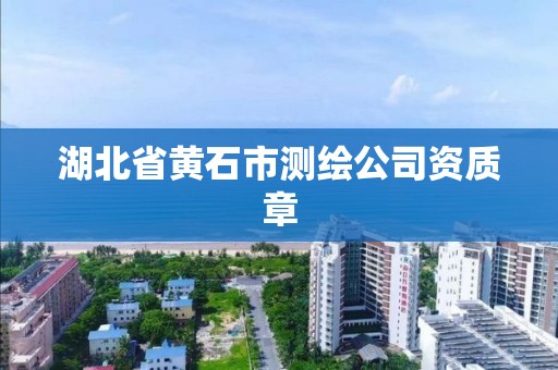 湖北省黄石市测绘公司资质章