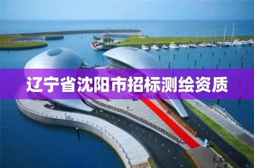 辽宁省沈阳市招标测绘资质