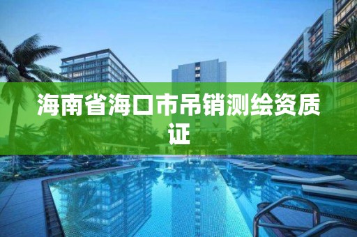 海南省海口市吊销测绘资质证