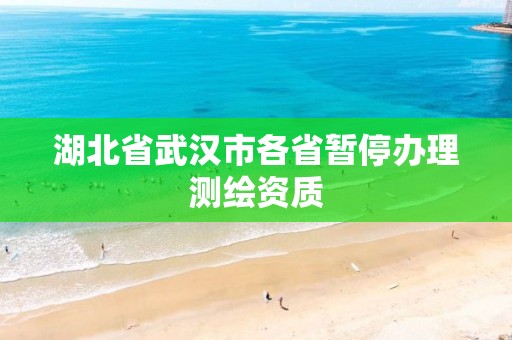 湖北省武汉市各省暂停办理测绘资质