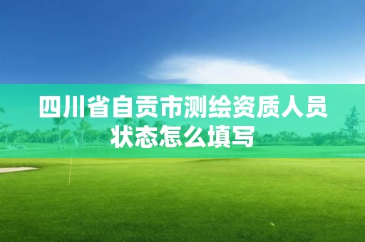 四川省自贡市测绘资质人员状态怎么填写