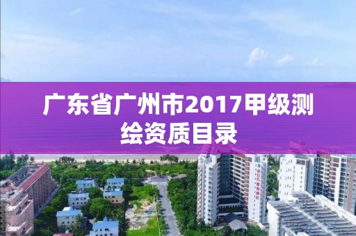 广东省广州市2017甲级测绘资质目录