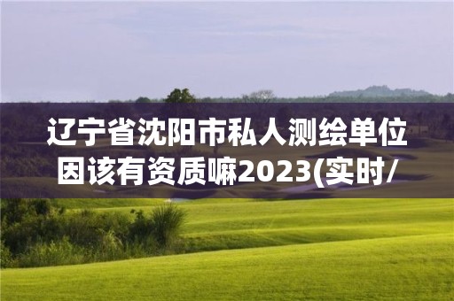 辽宁省沈阳市私人测绘单位因该有资质嘛2023(实时/更新中)