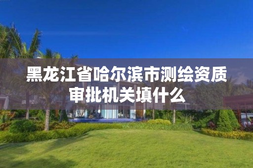 黑龙江省哈尔滨市测绘资质审批机关填什么