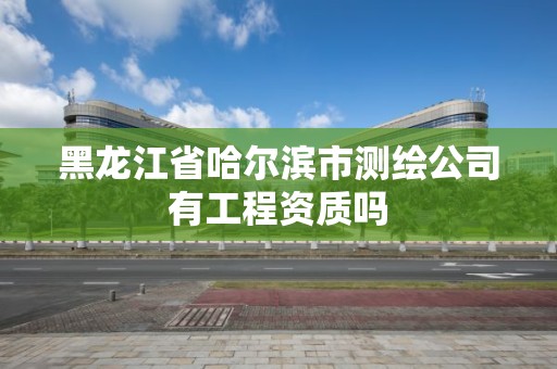 黑龙江省哈尔滨市测绘公司有工程资质吗