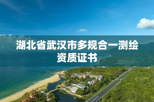 湖北省武汉市多规合一测绘资质证书