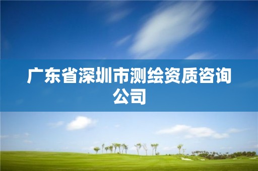 广东省深圳市测绘资质咨询公司