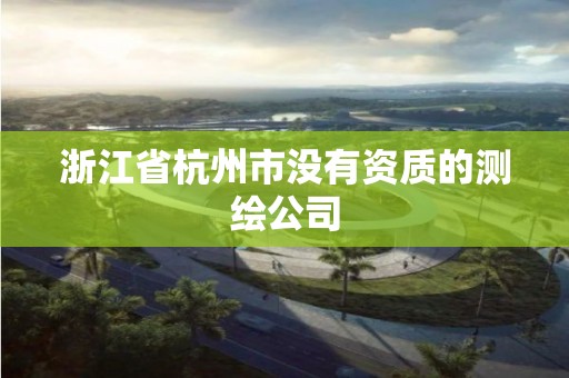 浙江省杭州市没有资质的测绘公司