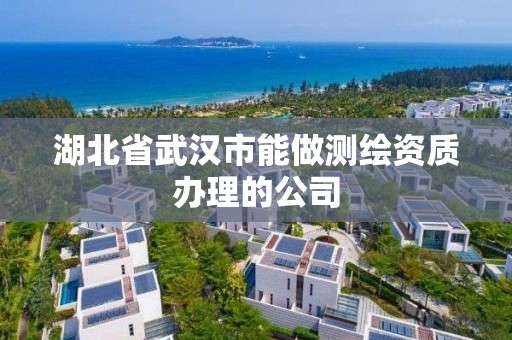 湖北省武汉市能做测绘资质办理的公司