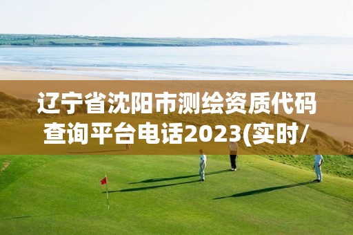 辽宁省沈阳市测绘资质代码查询平台电话2023(实时/更新中)