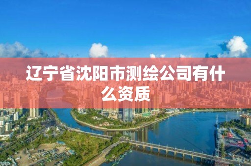 辽宁省沈阳市测绘公司有什么资质