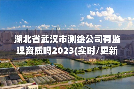 湖北省武汉市测绘公司有监理资质吗2023(实时/更新中)