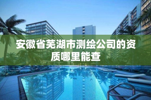 安徽省芜湖市测绘公司的资质哪里能查