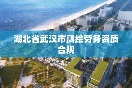 湖北省武汉市测绘劳务资质合规