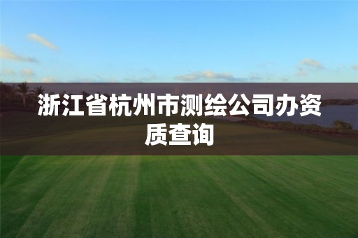 浙江省杭州市测绘公司办资质查询