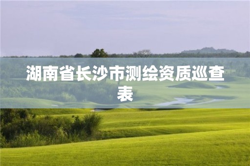 湖南省长沙市测绘资质巡查表