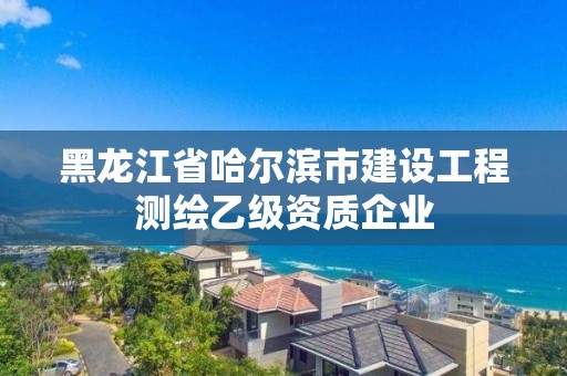 黑龙江省哈尔滨市建设工程测绘乙级资质企业