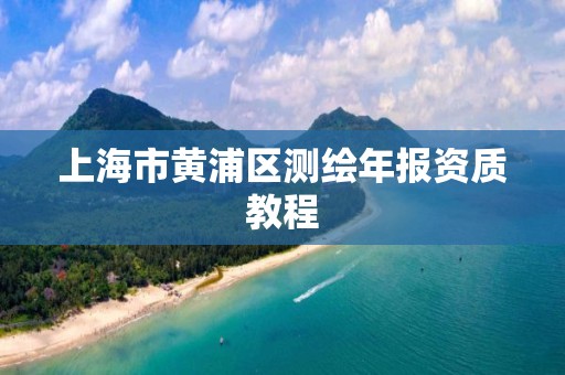 上海市黄浦区测绘年报资质教程