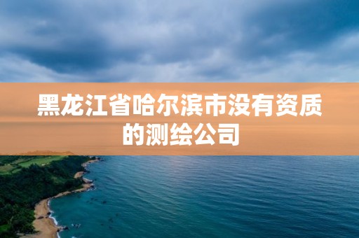 黑龙江省哈尔滨市没有资质的测绘公司