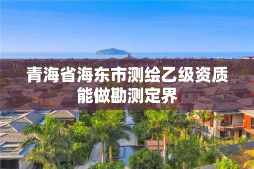 青海省海东市测绘乙级资质能做勘测定界