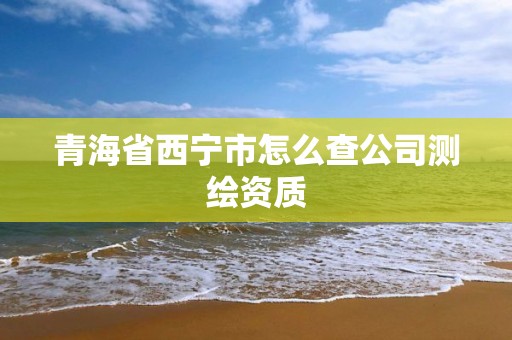 青海省西宁市怎么查公司测绘资质