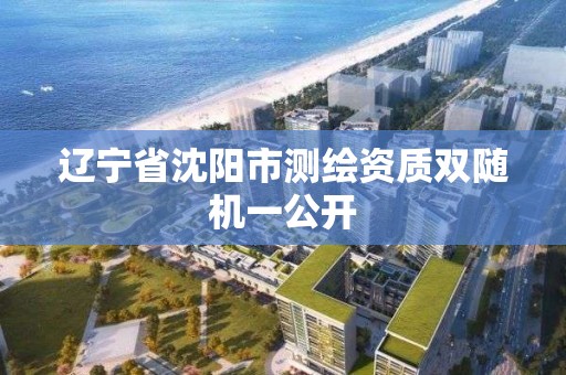 辽宁省沈阳市测绘资质双随机一公开