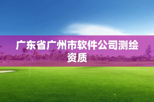 广东省广州市软件公司测绘资质