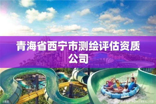 青海省西宁市测绘评估资质公司