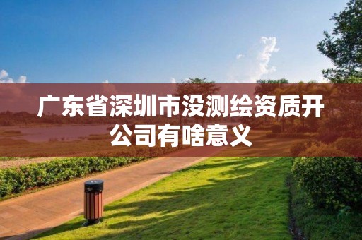 广东省深圳市没测绘资质开公司有啥意义