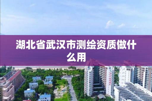 湖北省武汉市测绘资质做什么用