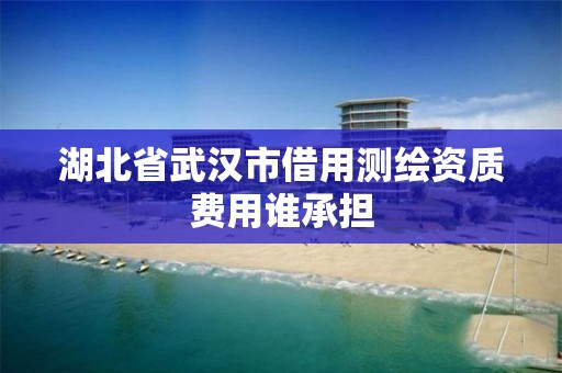 湖北省武汉市借用测绘资质费用谁承担