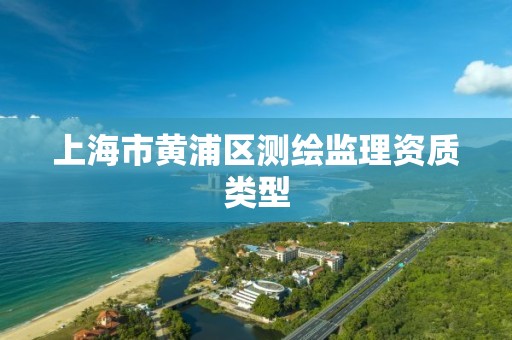 上海市黄浦区测绘监理资质类型