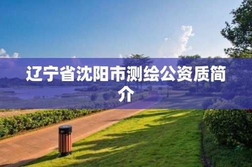 辽宁省沈阳市测绘公资质简介