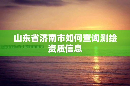 山东省济南市如何查询测绘资质信息