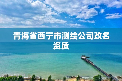 青海省西宁市测绘公司改名资质