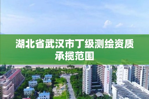 湖北省武汉市丁级测绘资质承揽范围