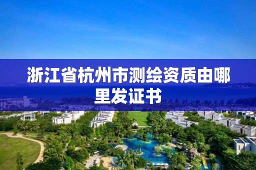 浙江省杭州市测绘资质由哪里发证书