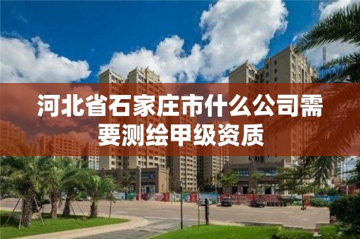 河北省石家庄市什么公司需要测绘甲级资质