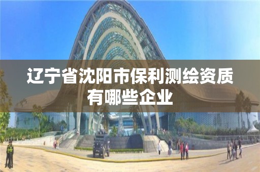 辽宁省沈阳市保利测绘资质有哪些企业