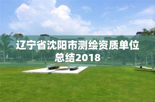 辽宁省沈阳市测绘资质单位总结2018