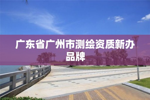 广东省广州市测绘资质新办品牌