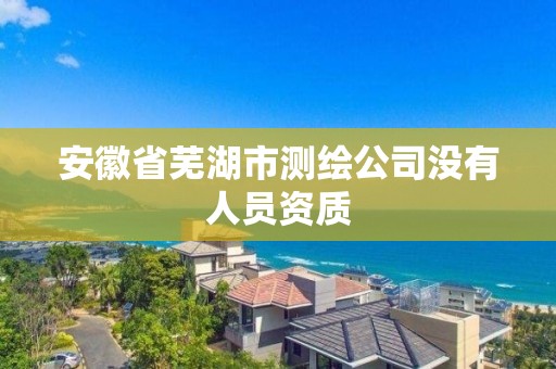 安徽省芜湖市测绘公司没有人员资质