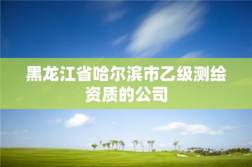 黑龙江省哈尔滨市乙级测绘资质的公司