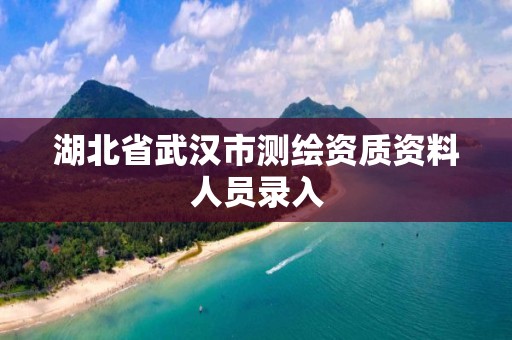 湖北省武汉市测绘资质资料人员录入