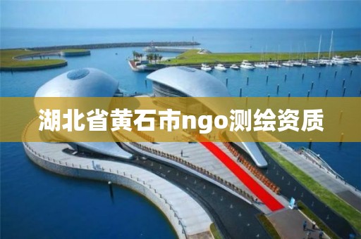 湖北省黄石市ngo测绘资质